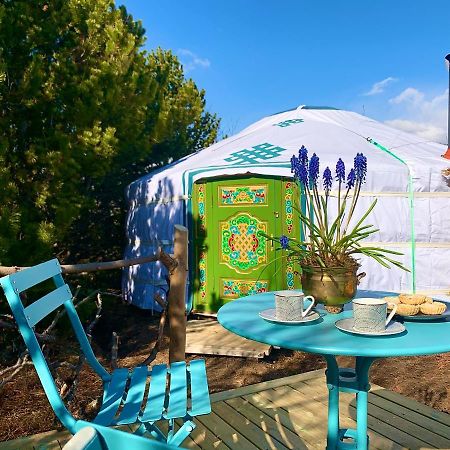 Valhalla Yurts Odin Selfoss Exteriör bild